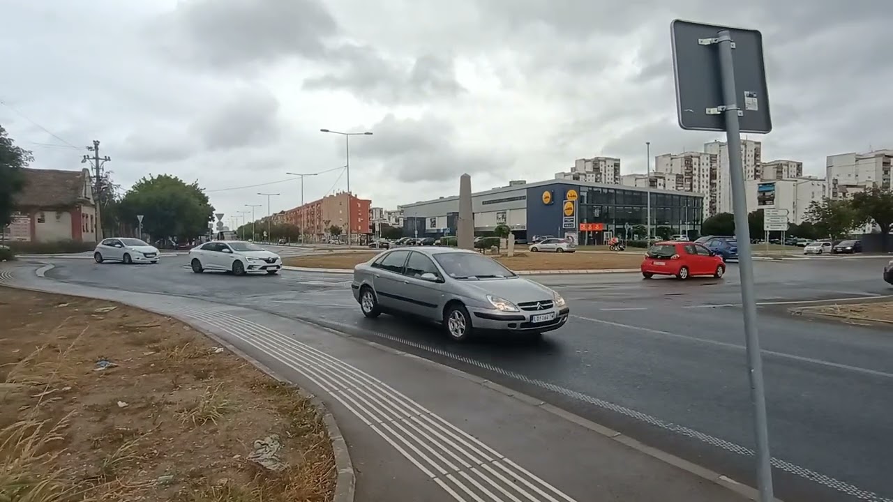 Kružni tok u Vojvođanskoj, Dr. Ivana Ribara