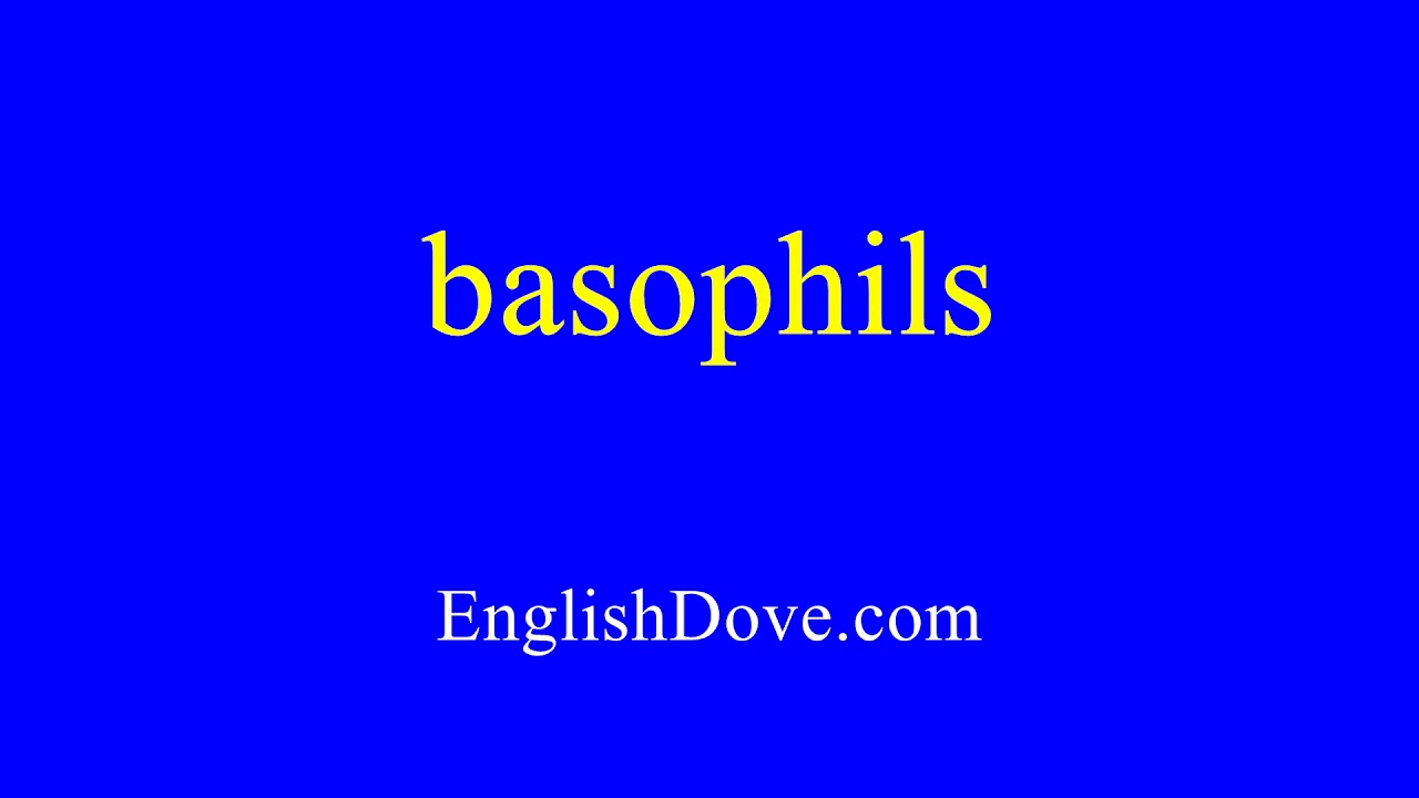How to pronounce basophils in American English.