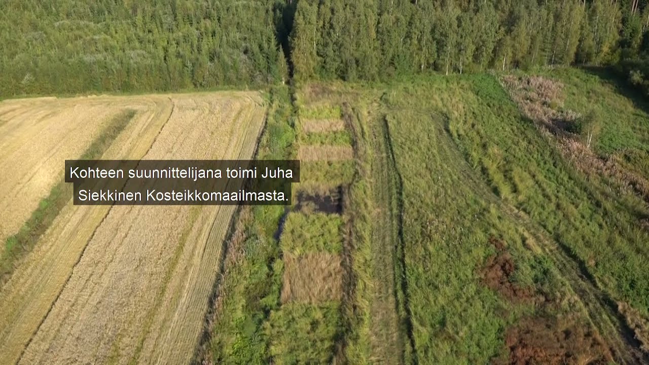 Kaksitasouoma Evijärven Mansikkapellolla/ Tvåstegsdike i Evijärvi