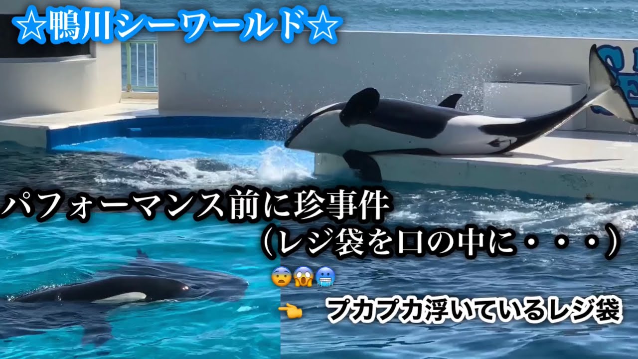 〔会場内に緊張が走る出来事〕パフォーマンス前にレジ袋を口の中に入れてしまった‼︎😱