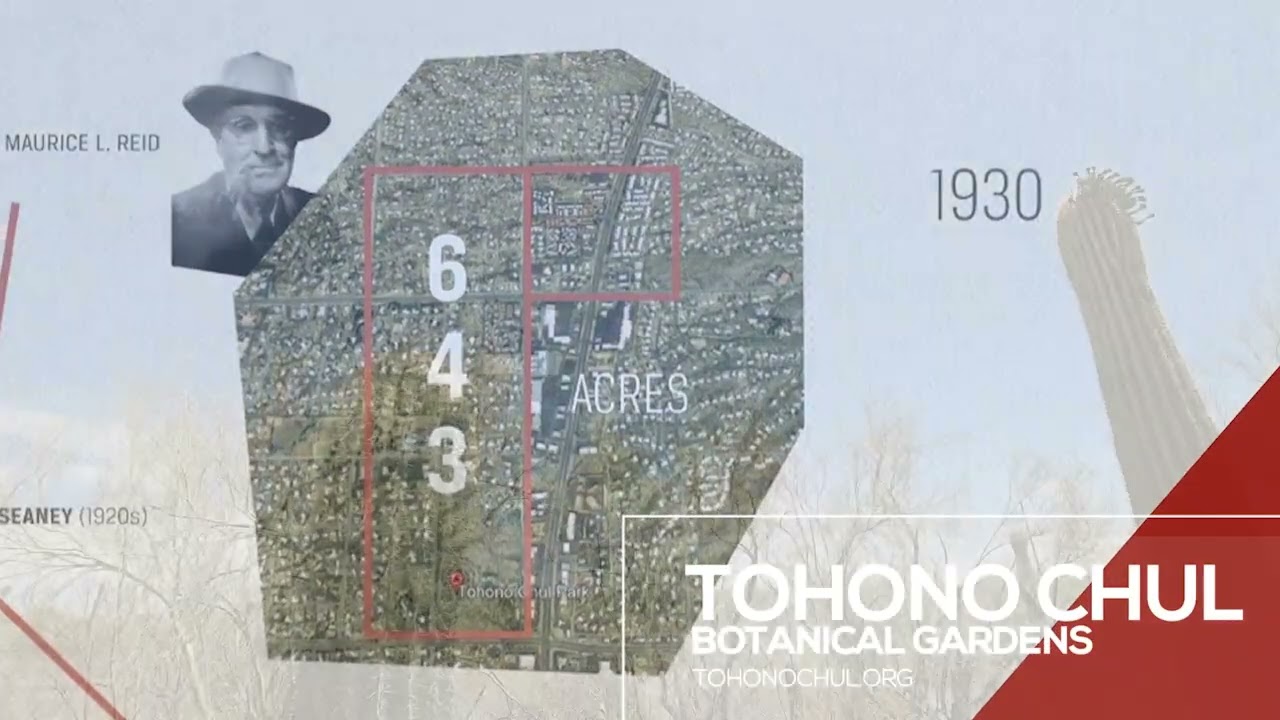 TOHONO CHUL BOTANICAL GARDENS OF TUCSON, ARIZONA