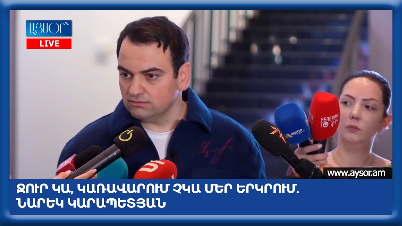 Ջուր կա, կառավարում չկա մեր երկրում. Նարեկ Կարապետյան