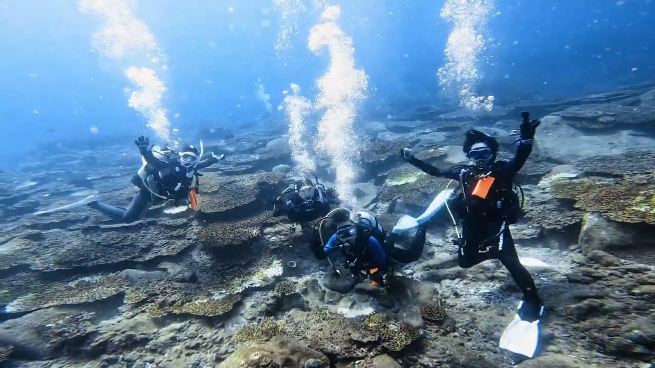 高知県最西端•柏島ダイブ／大阪 天王寺 スキューバダイビング #scubadiving #gopro 