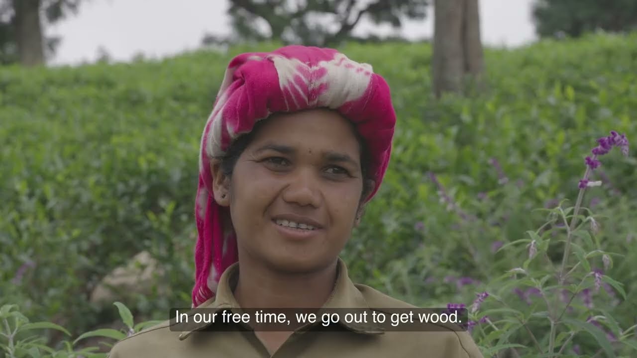 Life on the Tea Estate: Sanjay and Vibha Ekka - Horniman Museum and Gardens