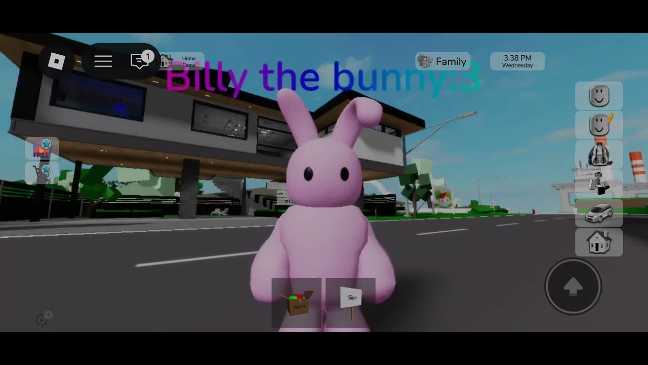 Billy the bunny :3