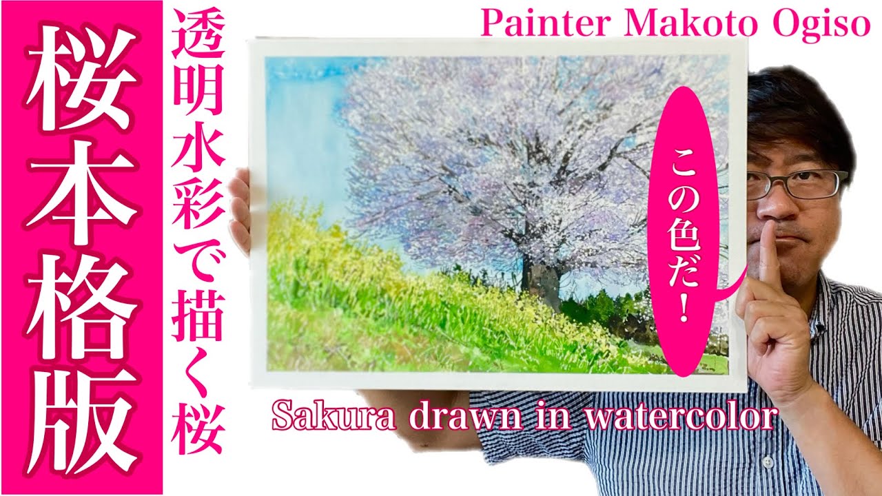 【🌸桜の描き方/本格版】プロが教えます、透明水彩で描く本格版です。この色使えばとご提案！[🌸 How to draw cherry blossoms / full-scale version]