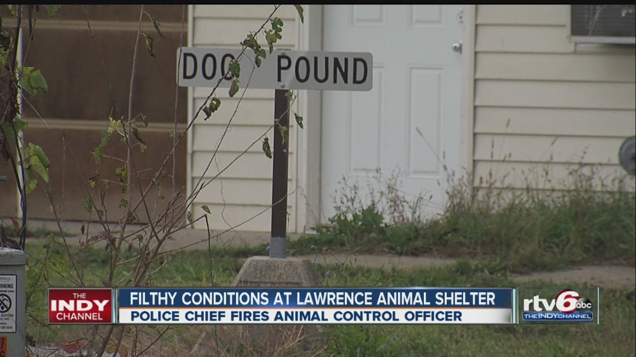 Animal Control officer fired after Lawrence police find malnourished dogs at shelter
