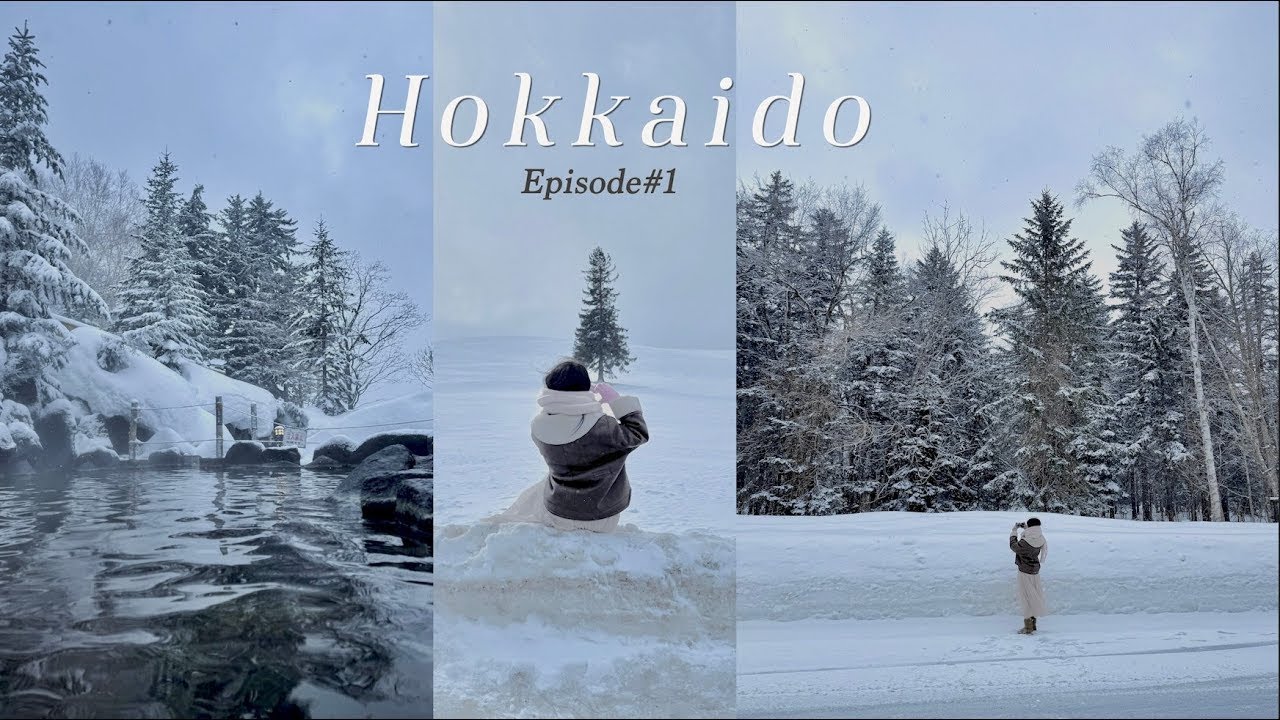 [Hokkaido] ep.1 겨울왕국 훗카이도❄ 너무 만족했던 삿포로&비에이 하이라이트 코스 추천(크리스마스트리, 흰수염폭포, 백은장), 현지인추천 맛집공유