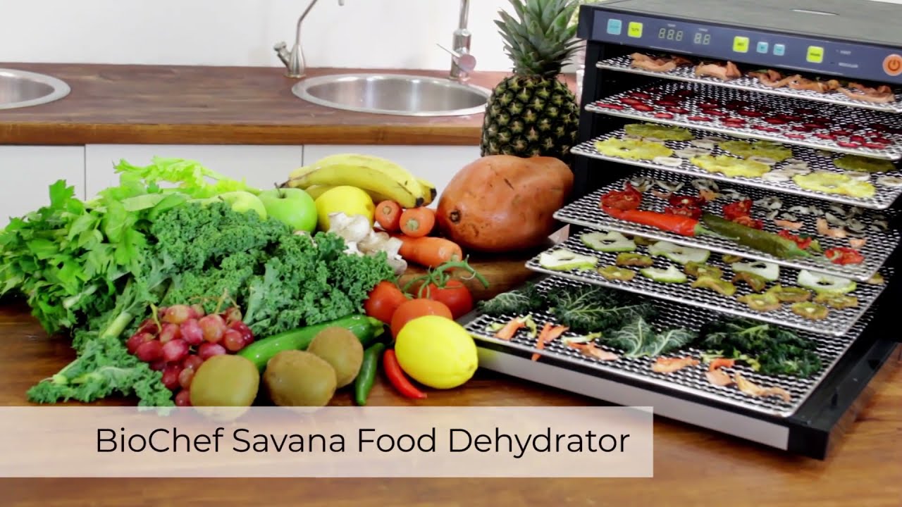 Easy to use Food Dehydrator | BioChef Savana Dehydrator | Vitality 4 Life