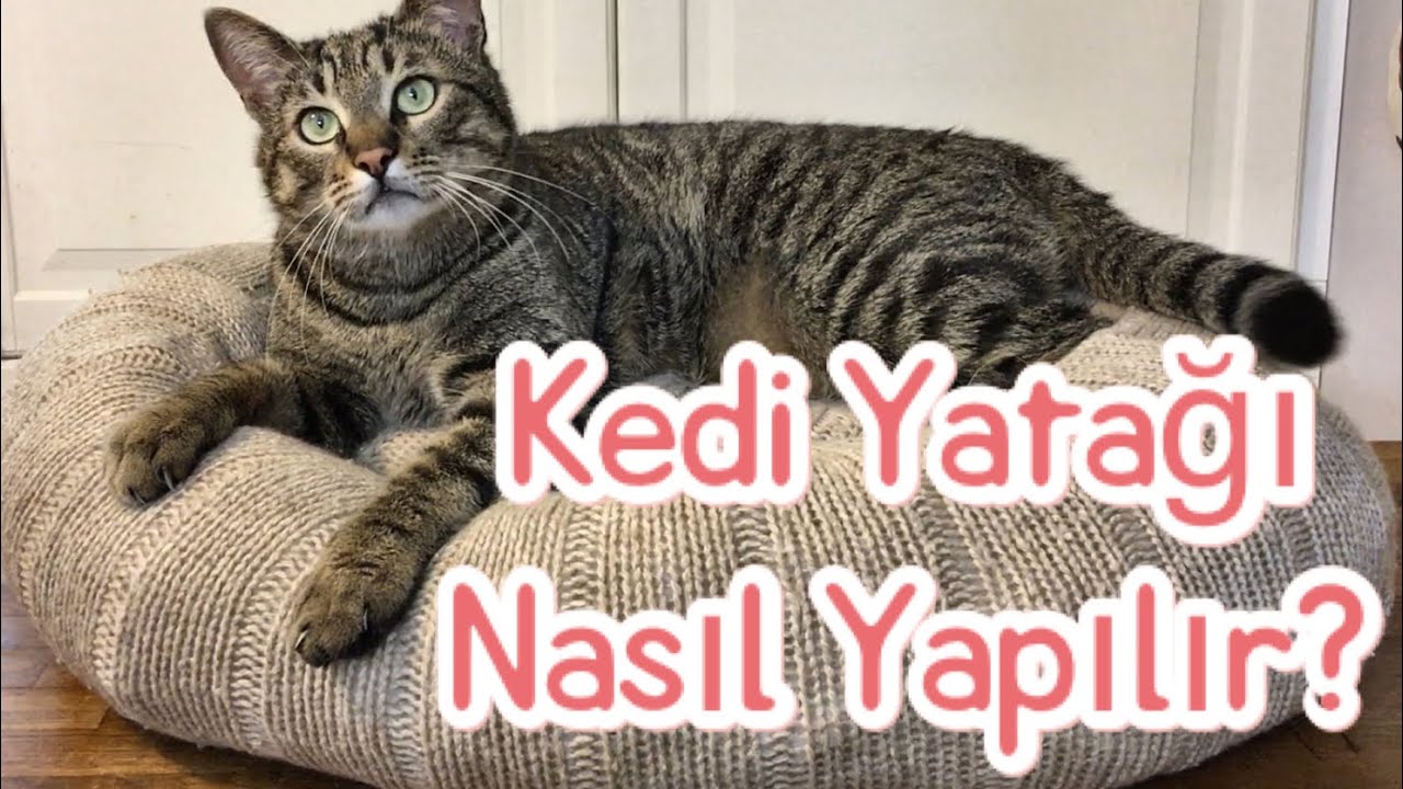 Kedi Yatağı Yapıyoruz