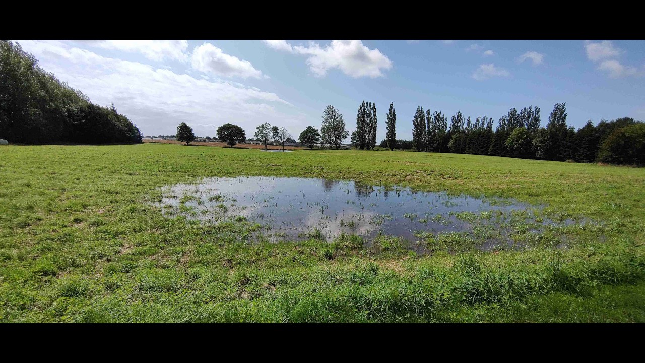 5. august 2025 Næstved – Fællesejevej