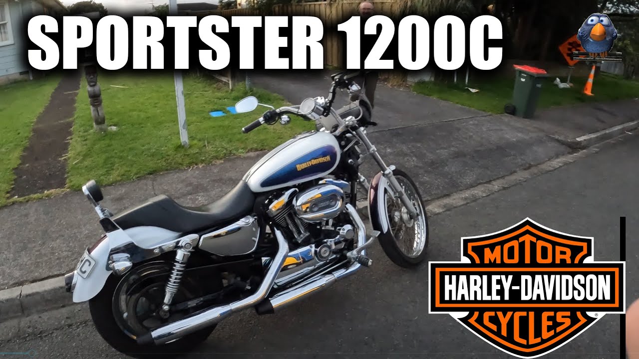 I bought a Harley! | 2010 Harley-Davidson Sportster 1200 Custom