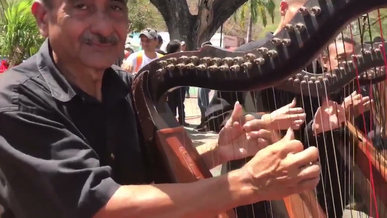 El Baúl Edo. Cojedes - Cuna de Arpistas 🤠🎶