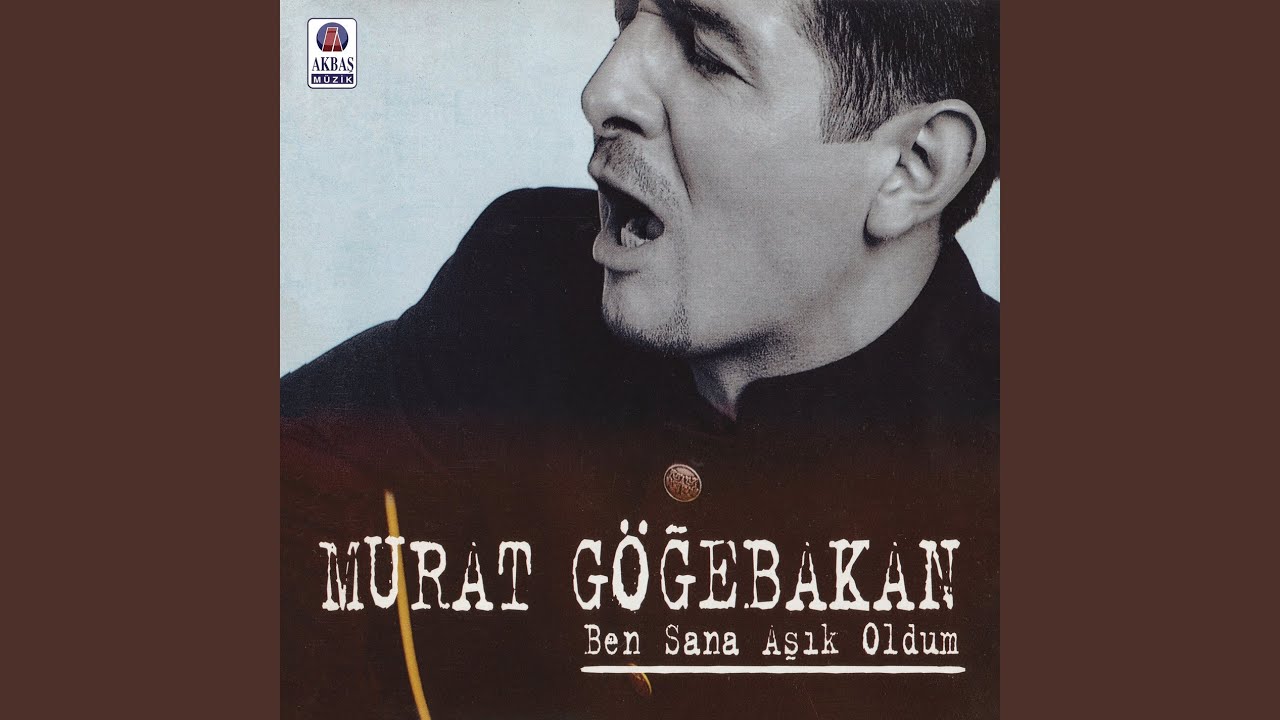 Ben sana aşık oldum