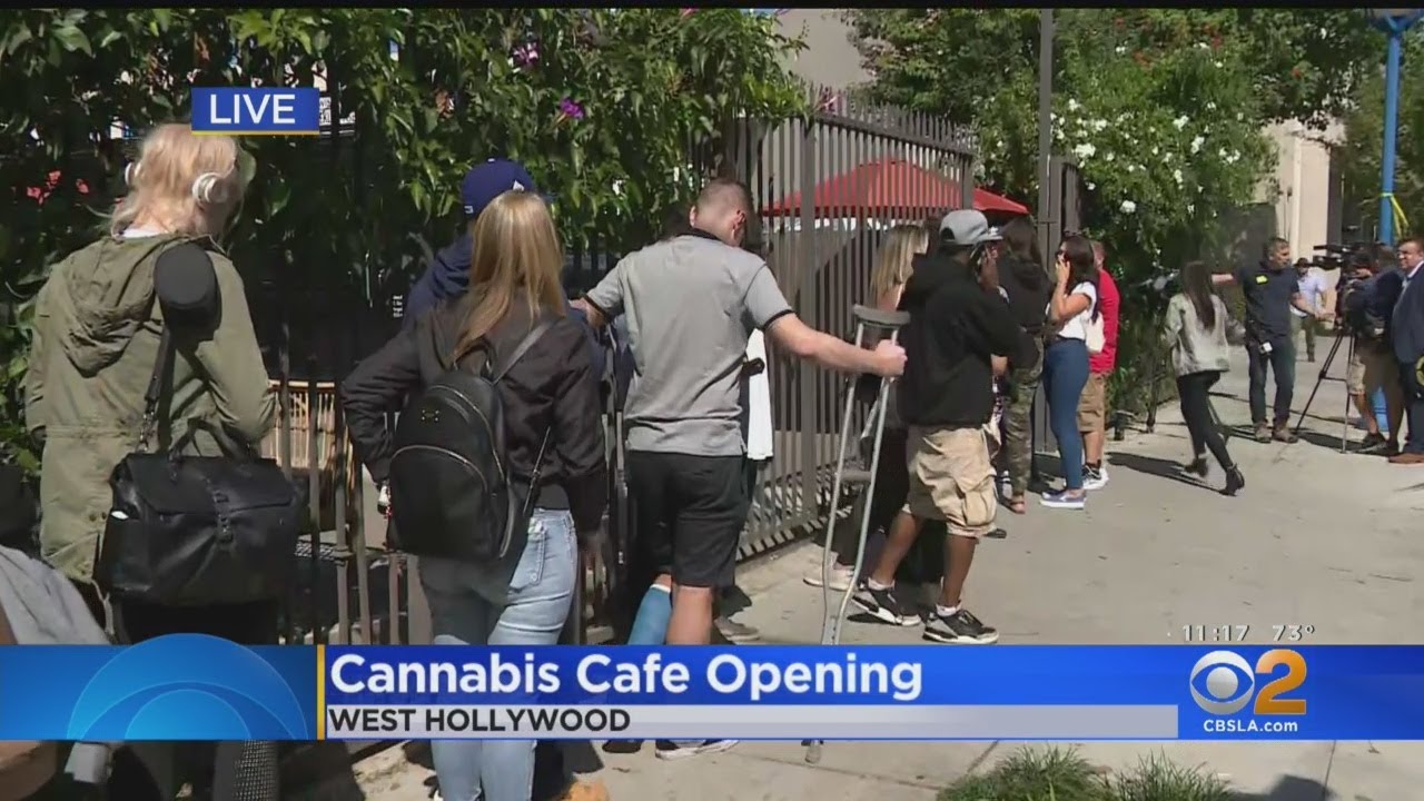 Buzz Draws A Line Down The Block To West Hollywood's First Cannabis Cafe