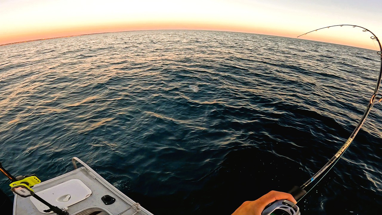 Targeting Evening Pink Snapper - Perth Metro Inshore