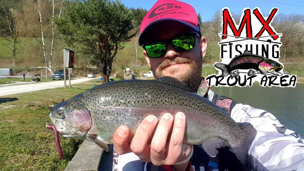 Пятнадцатая встреча по ловле прудовой Форели/MXFishing Trout Area/Angelpark Remmesweiler