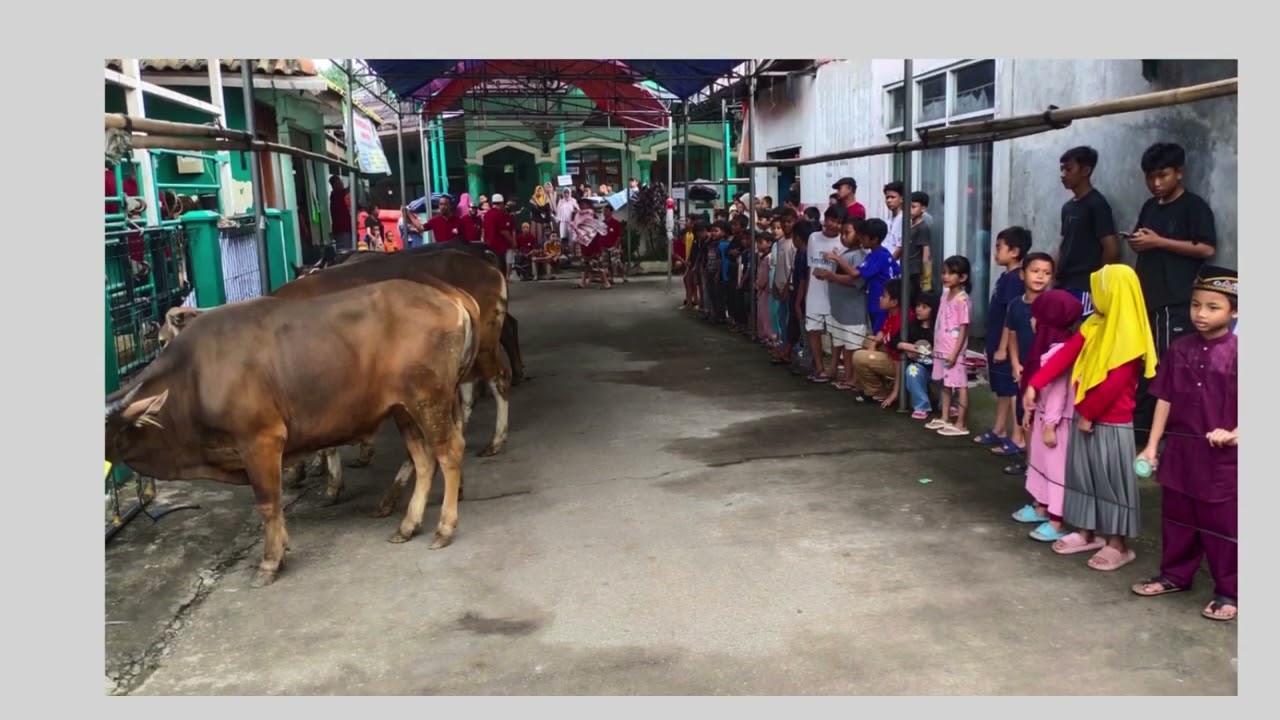 250606 Idul Adha Masjid AT-TAUBAH Perum Telagamurni