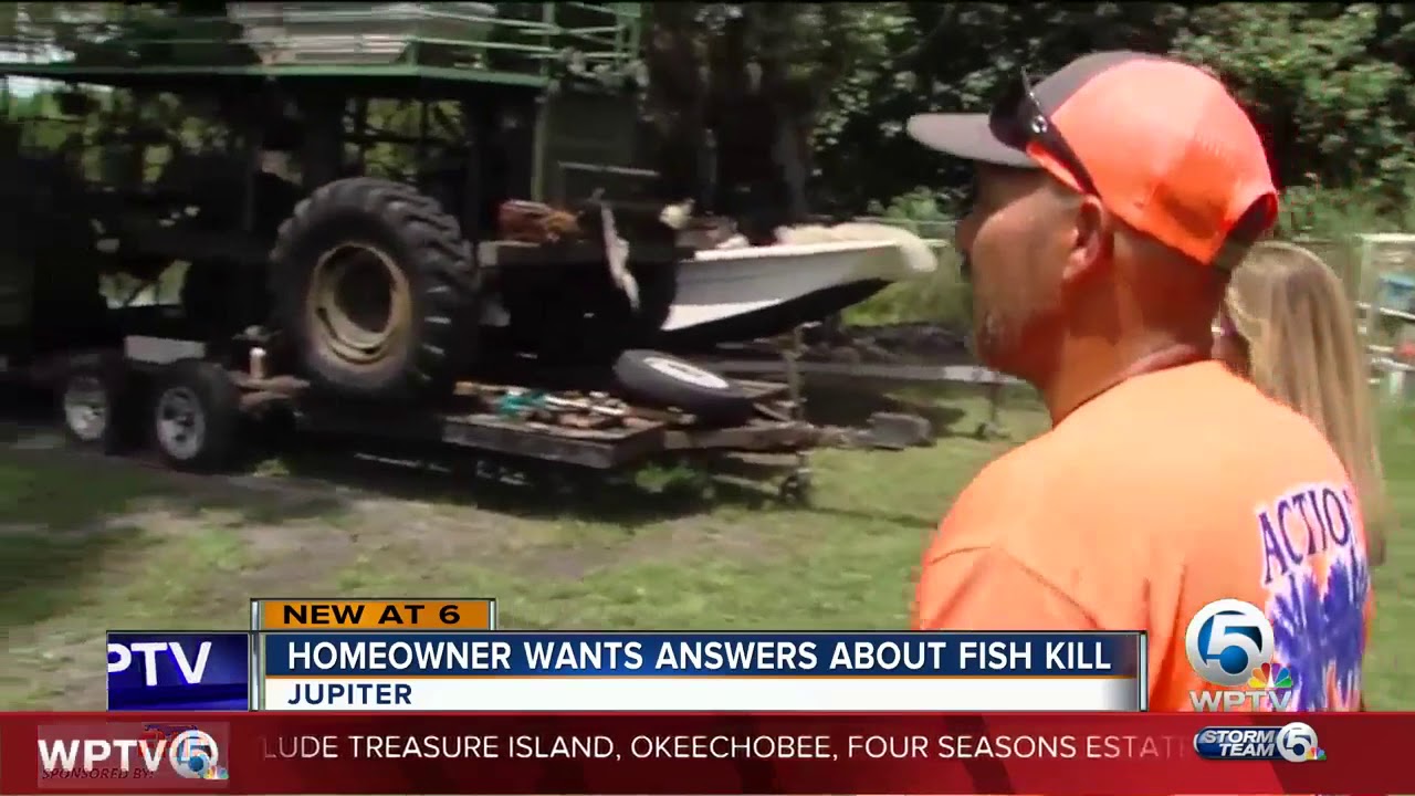 Hundreds of fish dead in pond near Jupiter