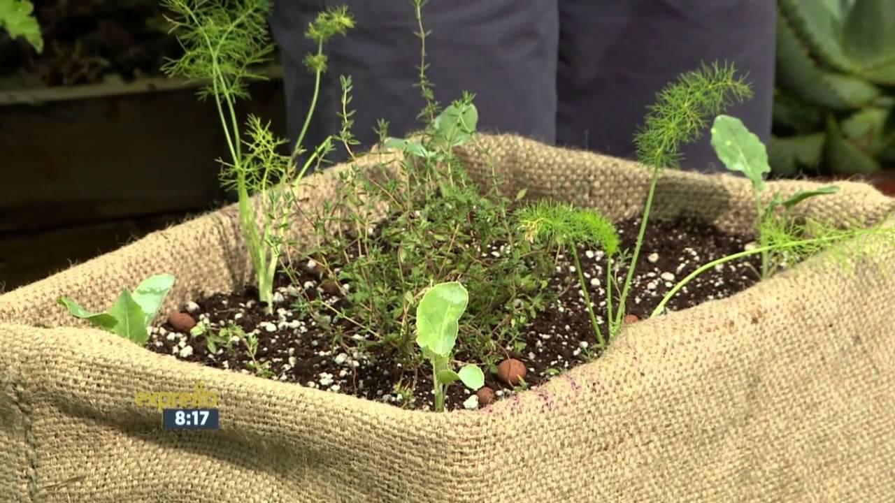 Food gardening for small spaces - Live on Expresso