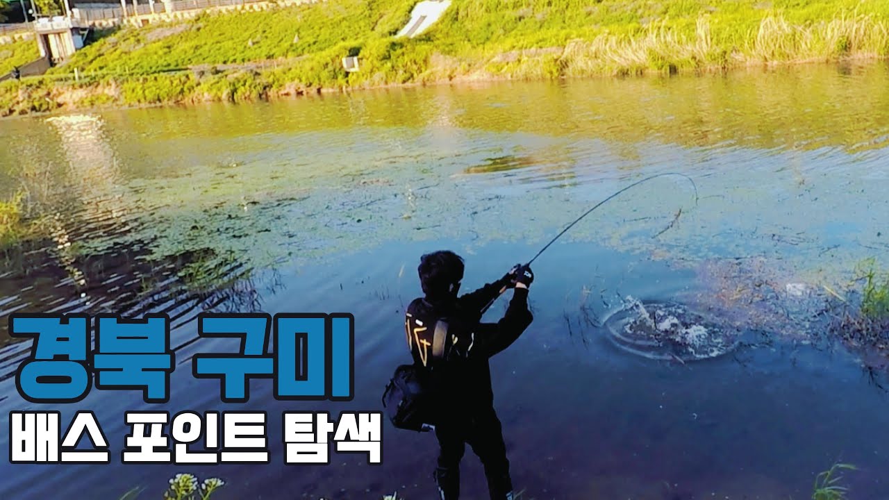 경북 구미 배스포인트 탐색