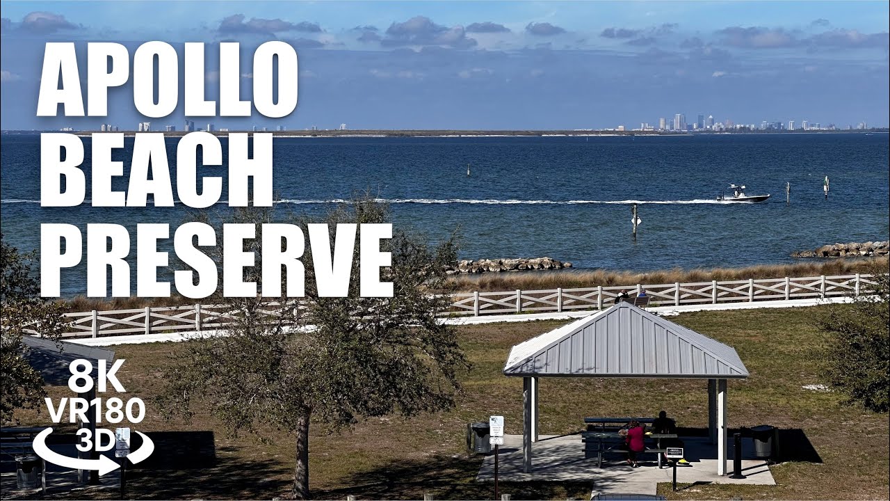Apollo Beach Preserve Walk VR180 8K 3D Tampa Bay, Coastal Dunes, Observation Tower VR视频 8K 3D動画 VR旅行