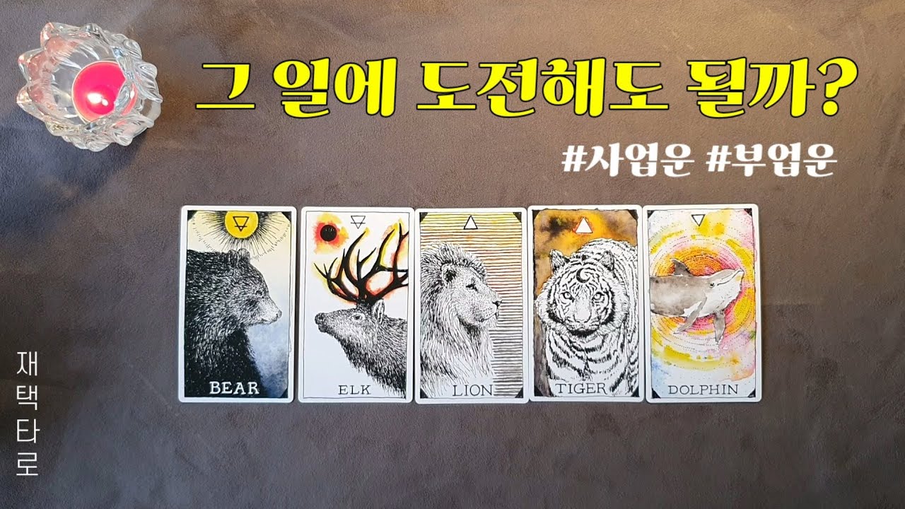 [타로]그 일에 도전해도 될까요?(사업운/부업운)