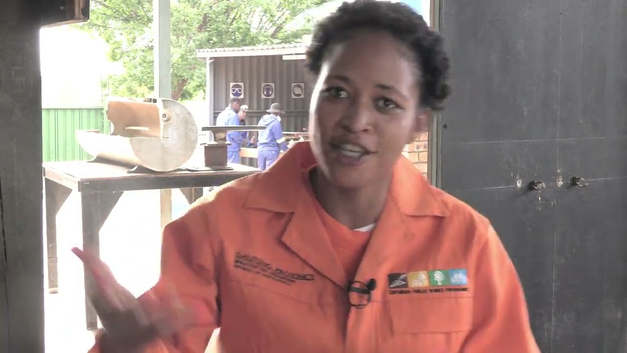 ARTISAN: WOMEN IN PLUMBING - D.I.D SPONSORED!