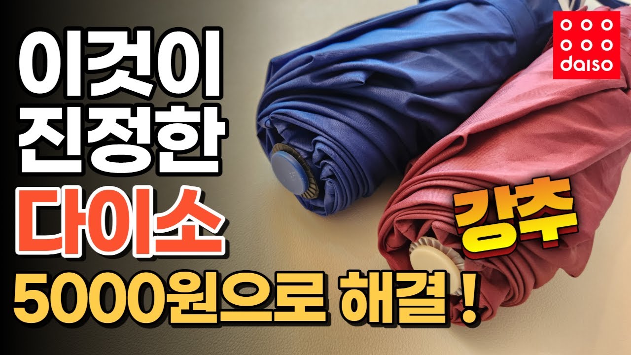 이것이 바로 다이소가 존재하는 이유를 알려주는 가성비 추천템 | 한 번 사면 계속 사게 된다는 필수품! #다이소 #다이소추천템 #다이소꿀템  #daiso