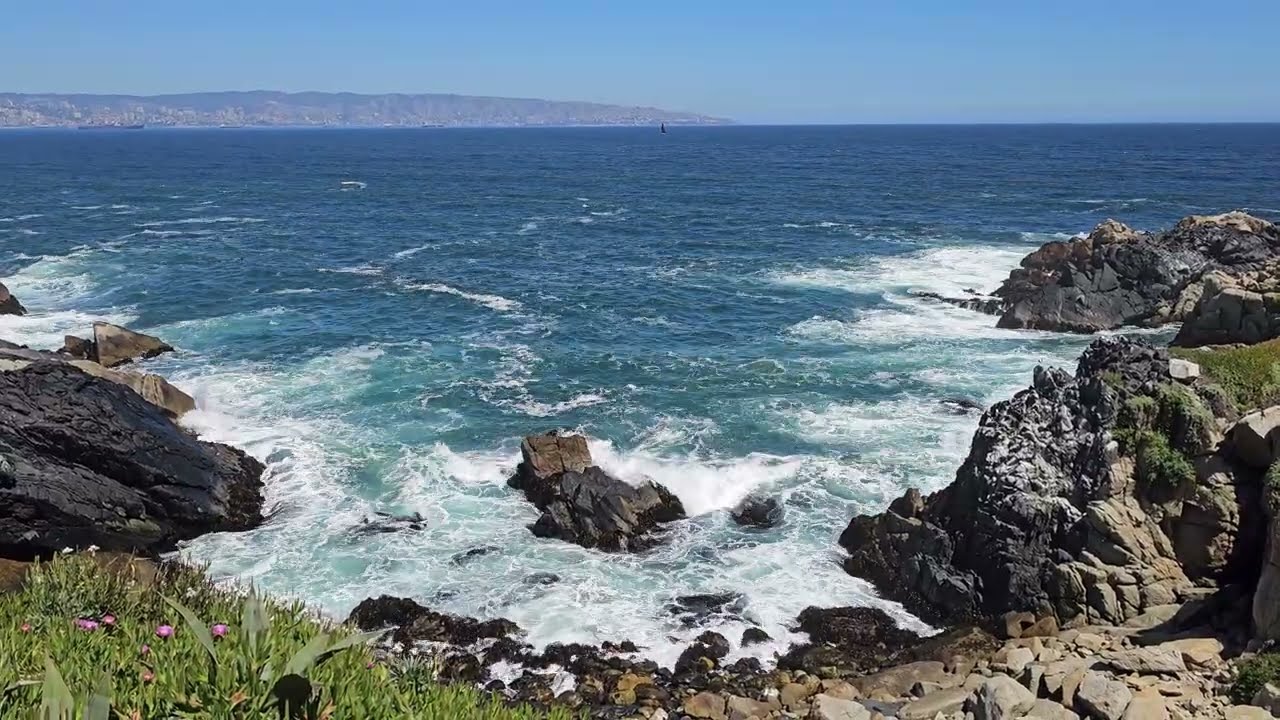 🌊 Golden Dunes, Roca Oce&aacute;nica, Crashing Waves! | Our Amazing Day in Conc&oacute;n, Chile, Nature Sanctuary