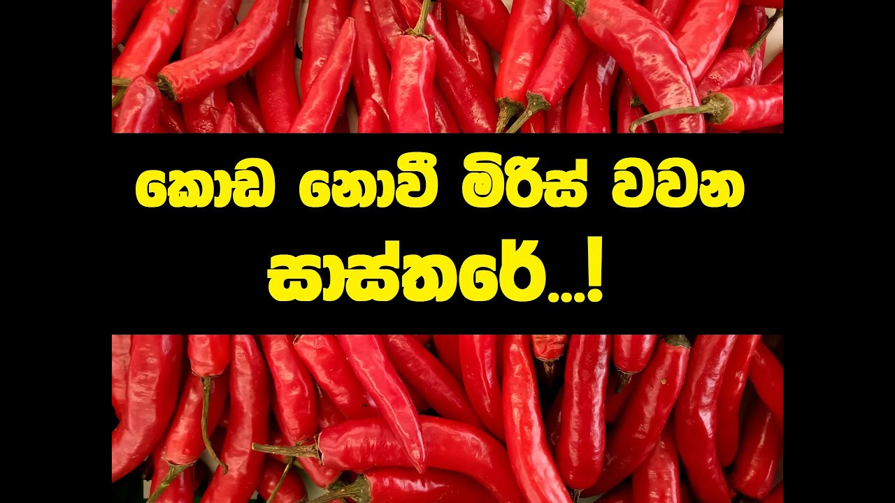 අරගලයට ජයවේවා....!