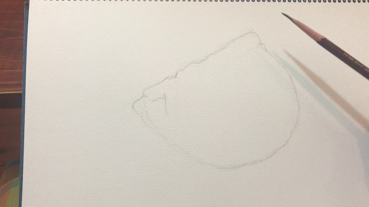 初心者デッサン講座　〜カボチャを描く〜　1/3  #デッサン#鉛筆デッサン