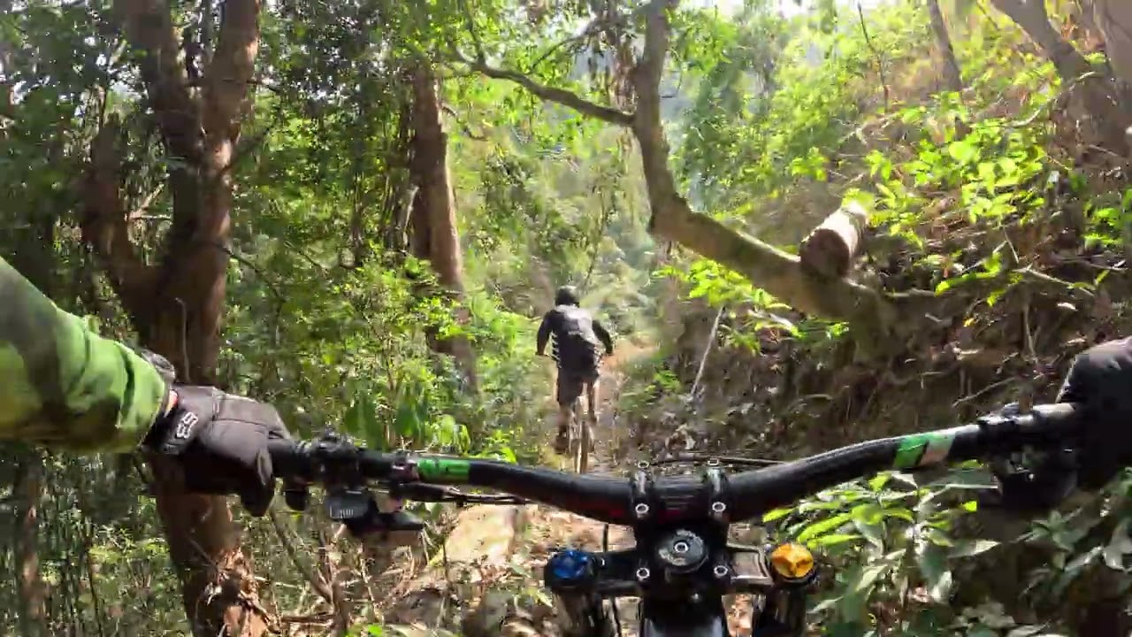 20260219   初三，牛頸