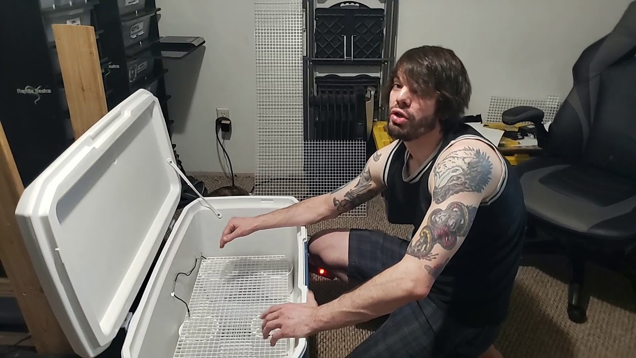 How to build a coleman cooler incubator