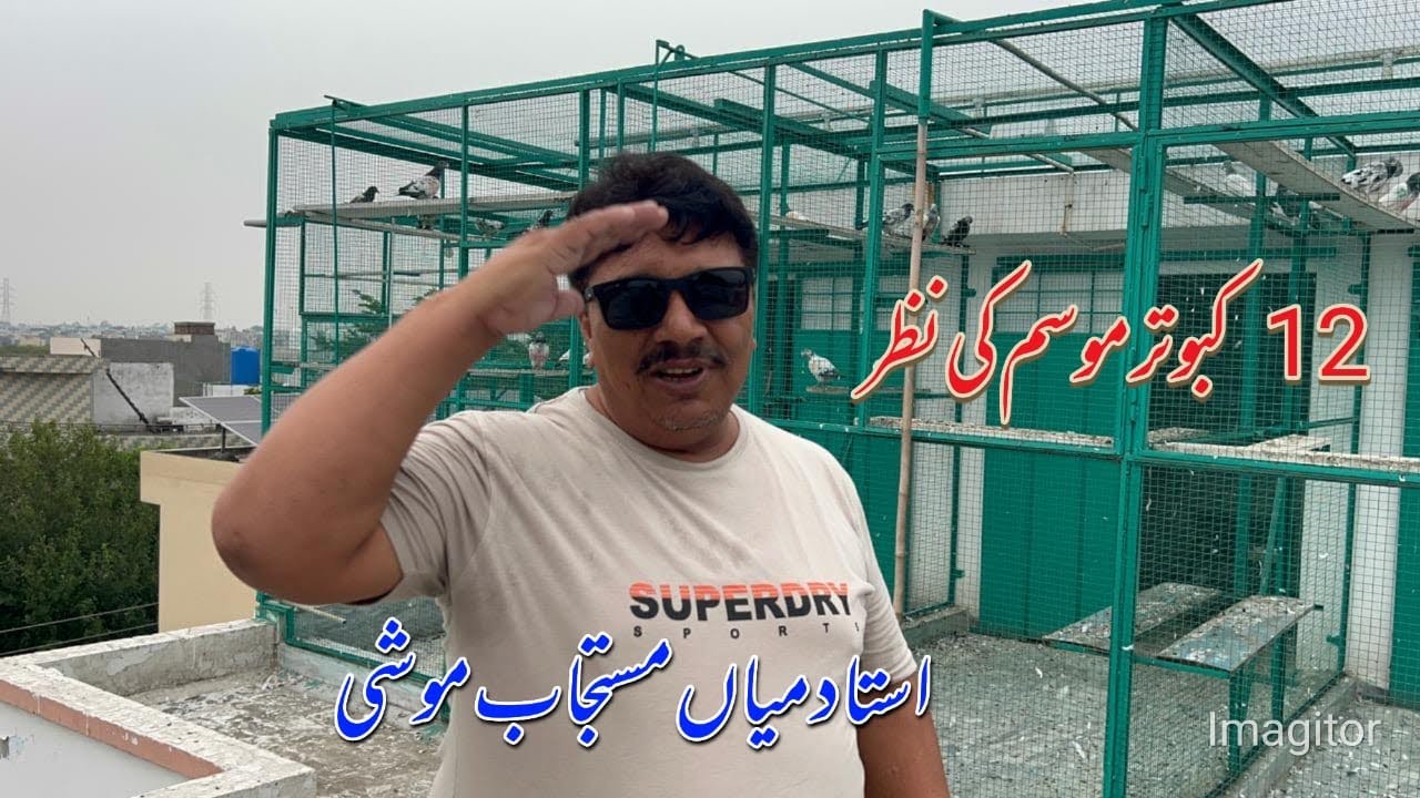 12 Kabotar Mosam ki Nazar, 7 Wapis Agaye || Ustad Mian Mustajab Moshi