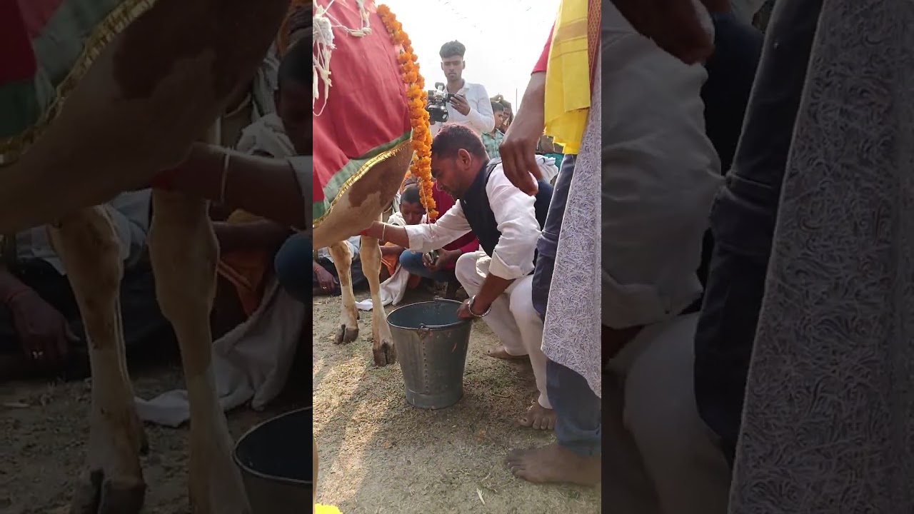 Baba baktawar Puja Khanapur 2025