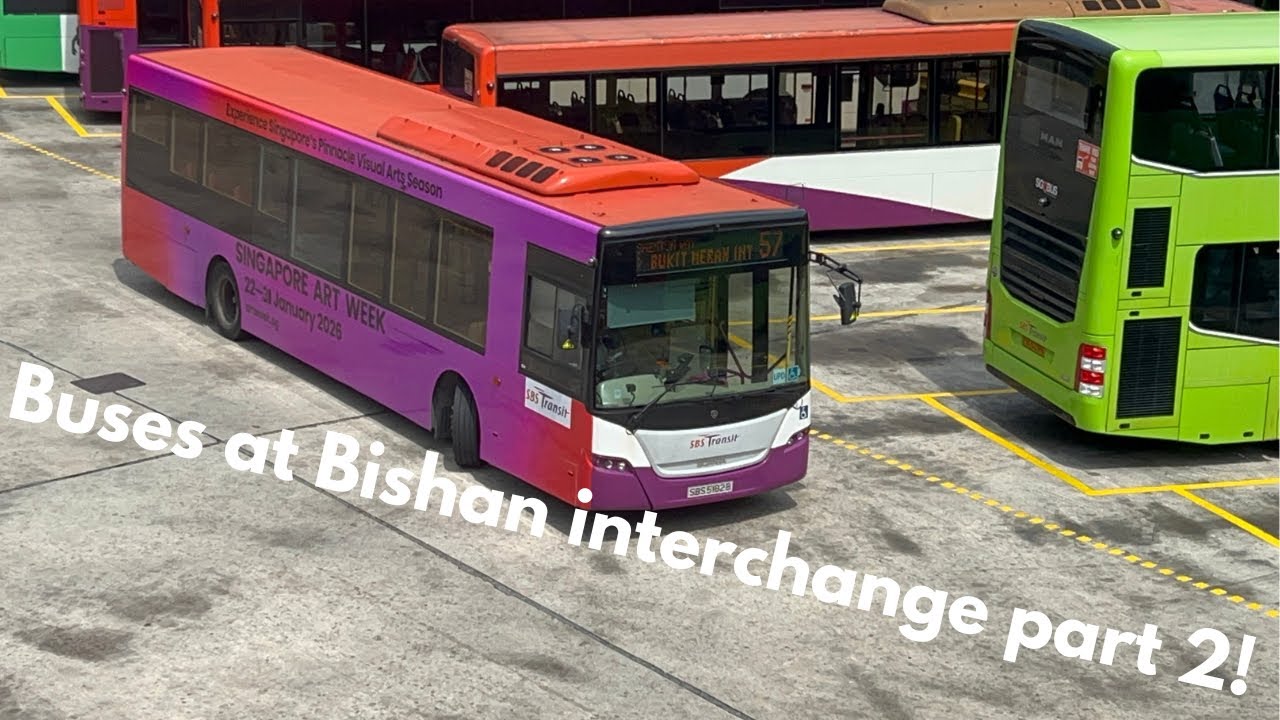 Buses at Bishan interchange, 2026 part 2