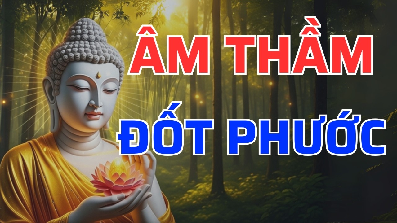 Phật Dạy Về Nhân Quả: Chỉ Một Thói Quen Nhỏ Nhưng Có Thể Làm Hao Tổn Phước Báu Cả Đời