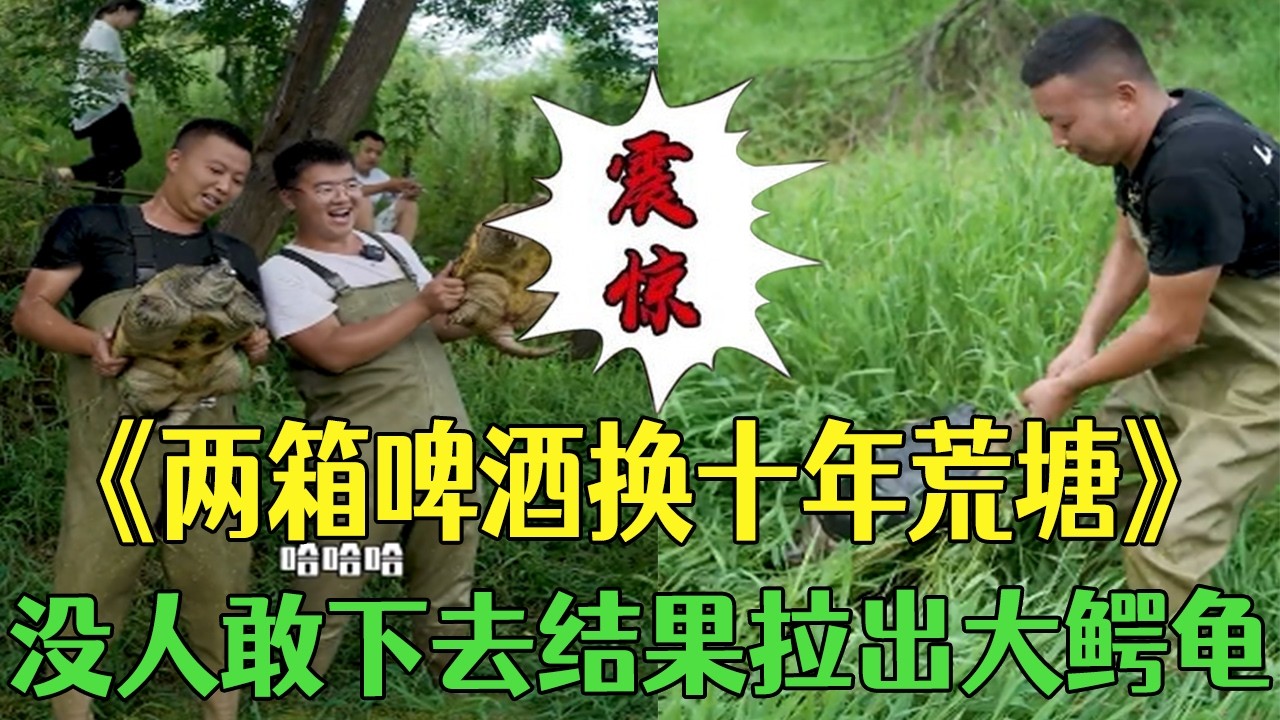 兩箱啤酒換十年荒塘，沒人敢下去，結果拉出大鳄龜！#小飛哥#三農#戶外#新農人計劃#我要上熱門#抓魚 #包塘