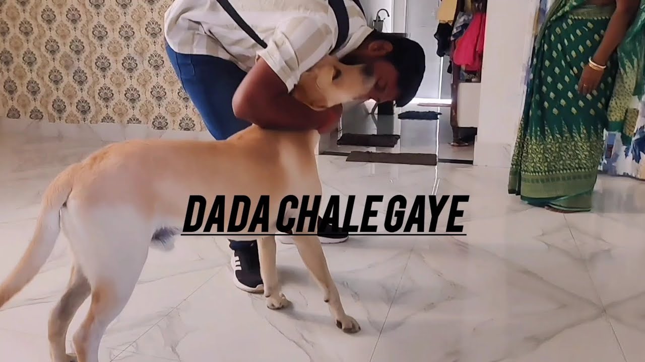 Joy ke Dada ja rahe hai 😲🥺😔 || @Journeyoffjoy 