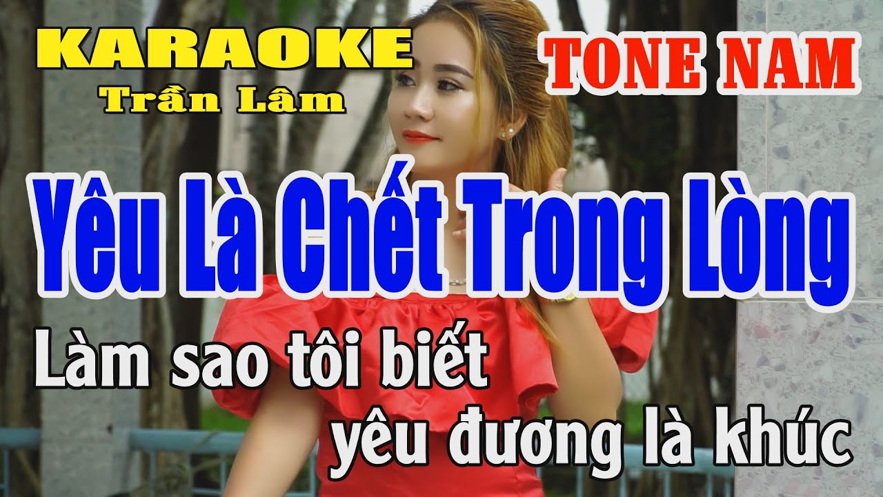 Karaoke Yêu Là Chết Trong Lòng Tone Nam ( Rê thứ ) Beat Hay | Karaoke Trần Lâm
