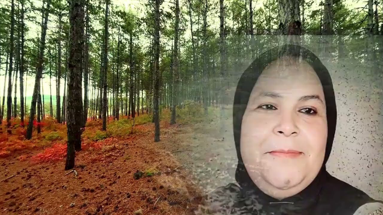 😱سميره مصدومه وخايفه على ولادها أم سيسي تحزمات وحالفه لاتفكات🔥