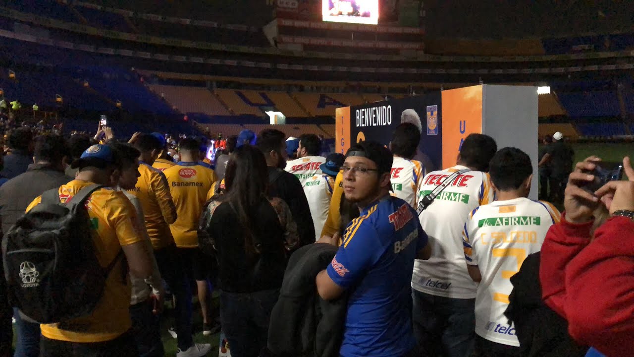 Presentaci&oacute;n Carlos Salcedo con Tigres 🐯