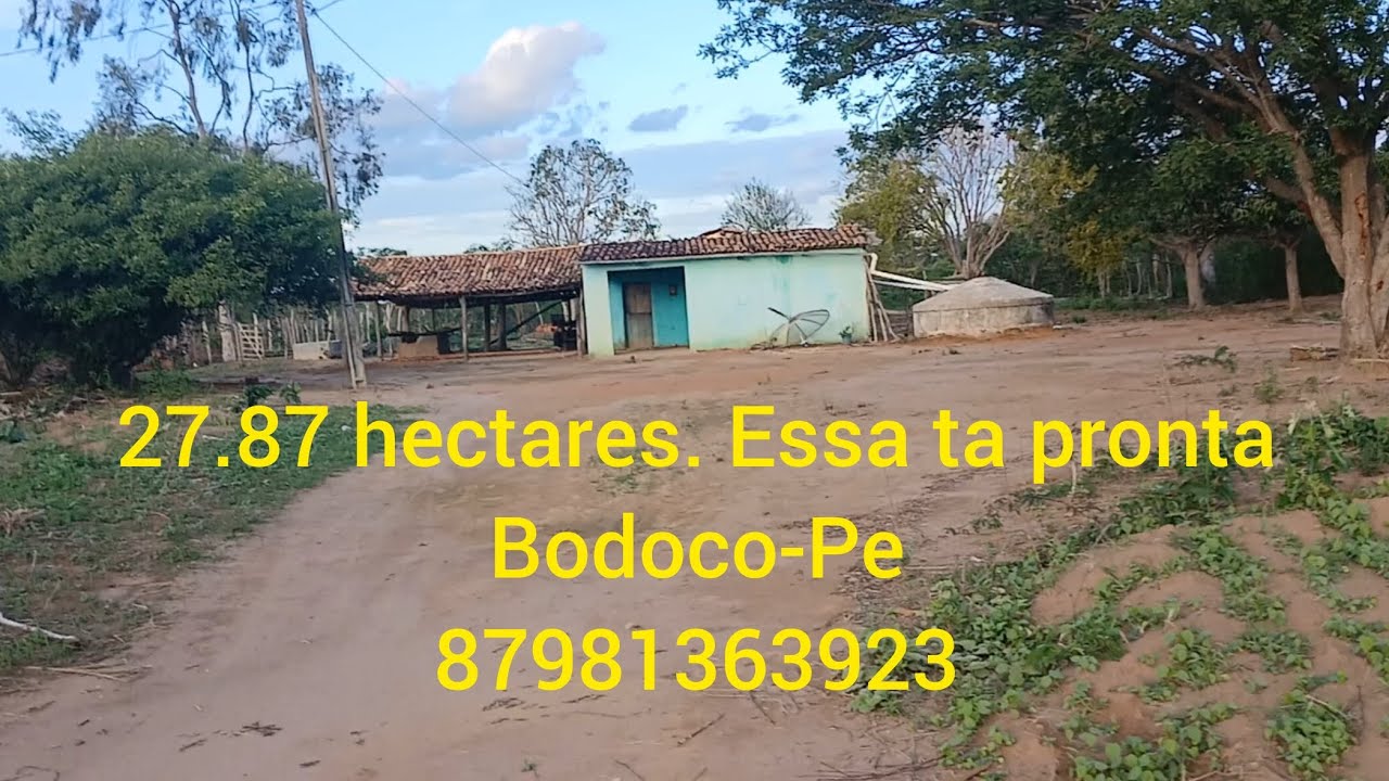 1 km da PE585. Informações sobre preço. 87981363923.