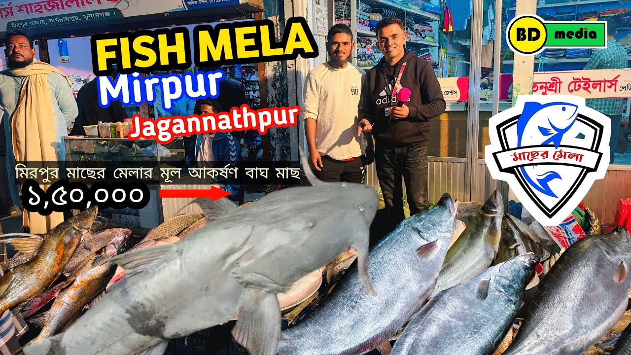 Fish Mela Mirpur Bazar - Jagannathpur মাছের মেলা মিরপুর বাজার - জগন্নাথপুর