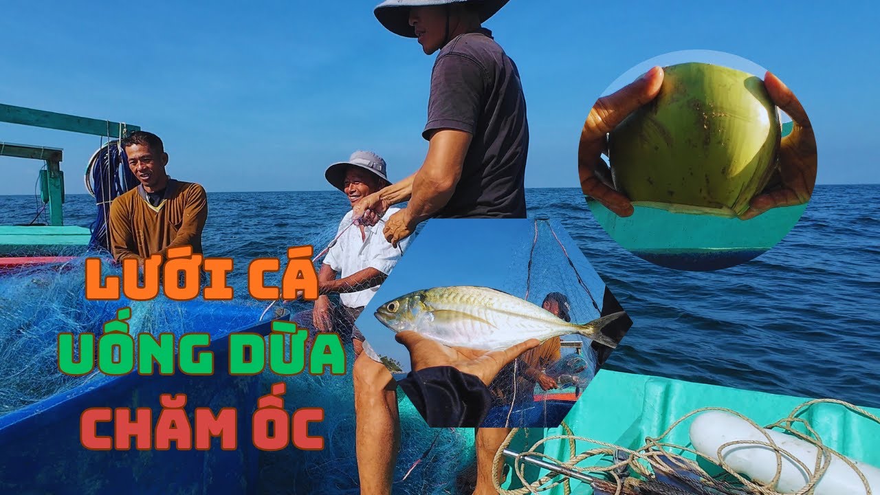 Theo Chân Dân Biển Hòn Sơn | Lưới Cá – Cá Mồi – Ốc Hương & Uống Dừa Giữa Biển | honsontutuc