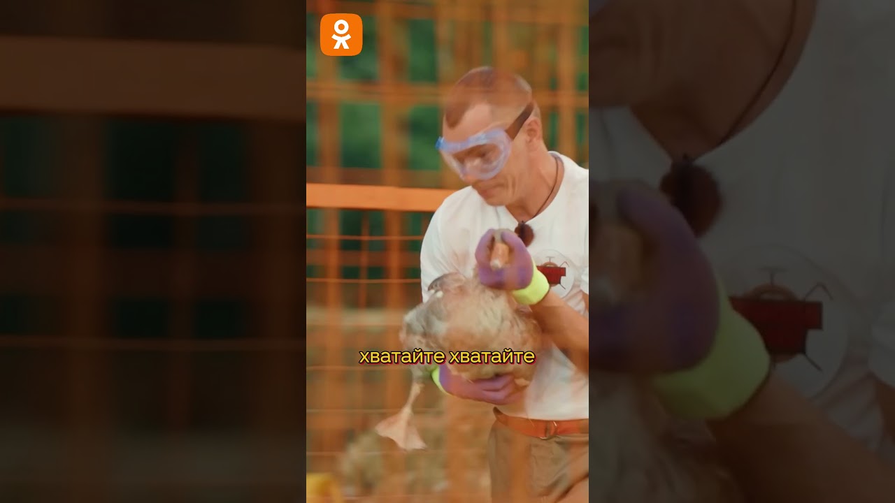 Смотрите шоу «Парниковый эффект» эксклюзивно в ОК🧡  