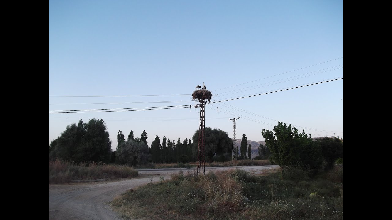 18 aralik urkutlu yemegi
