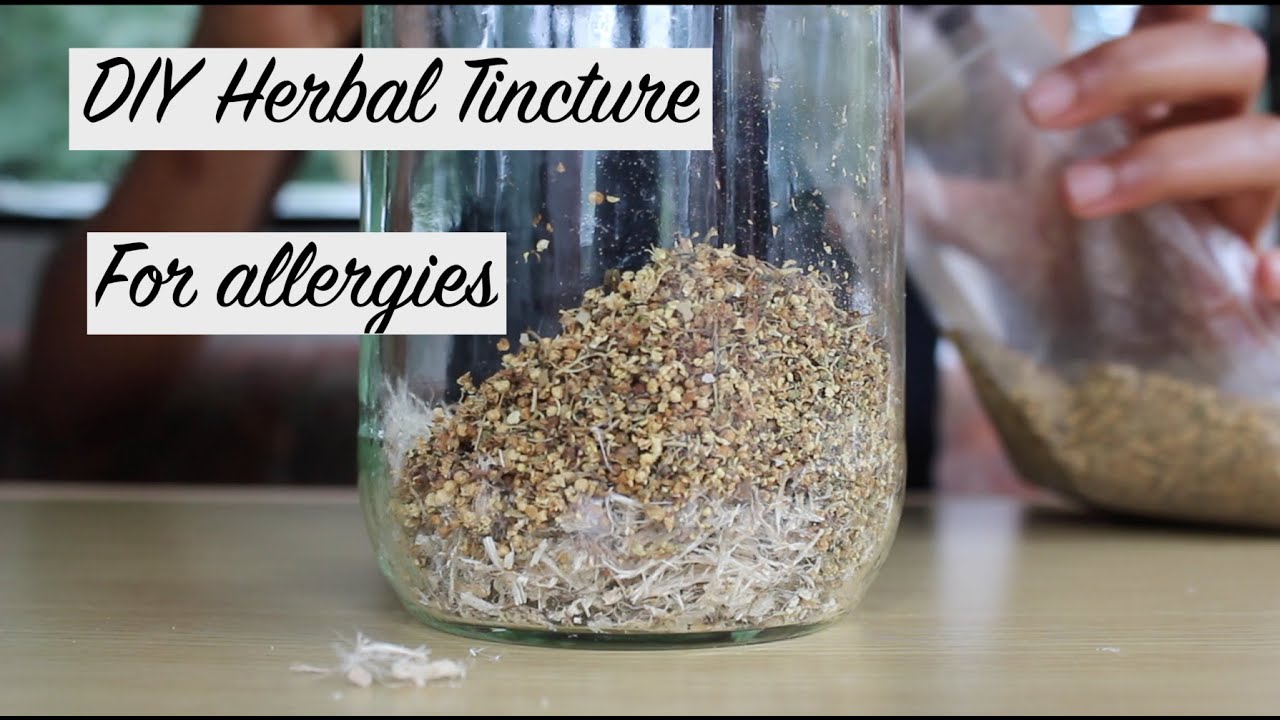 How to make a HERBAL TINCTURE for allergic rhinitis (nasal allergies)