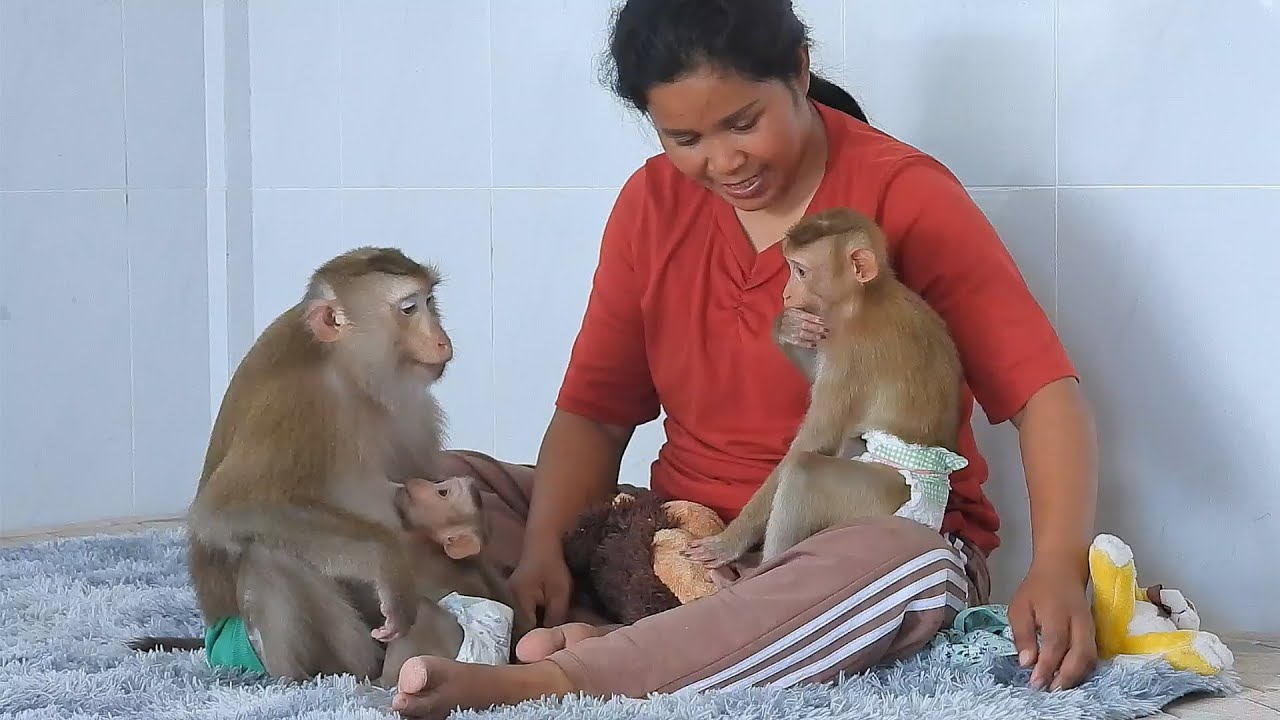 Mommy With Luna Take Cares Baby Valen And Luka For Nap Midday